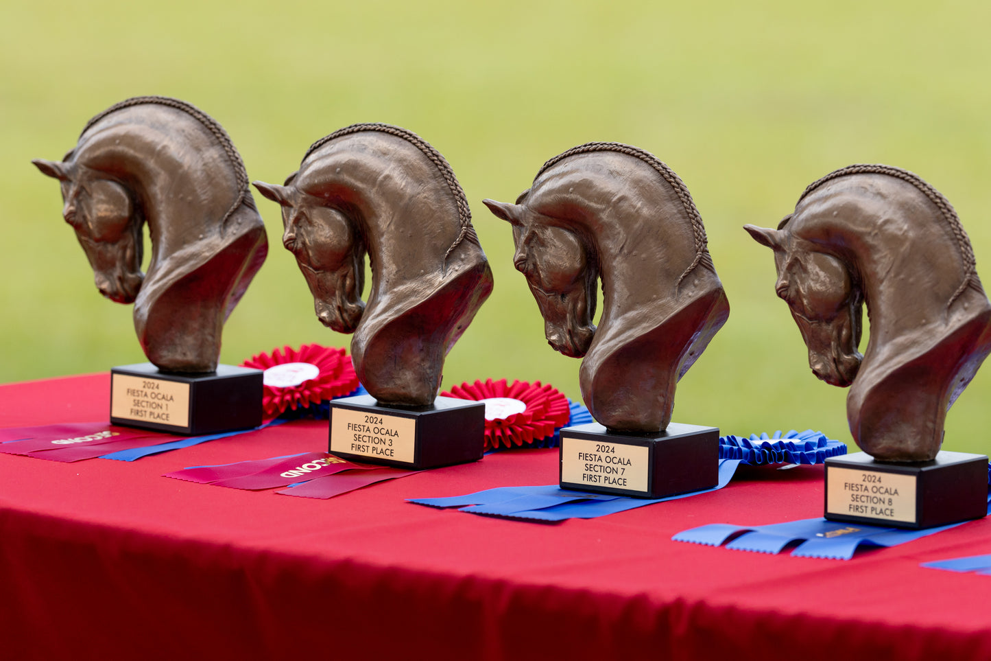 Fiesta Ocala - Bronze Sponsor