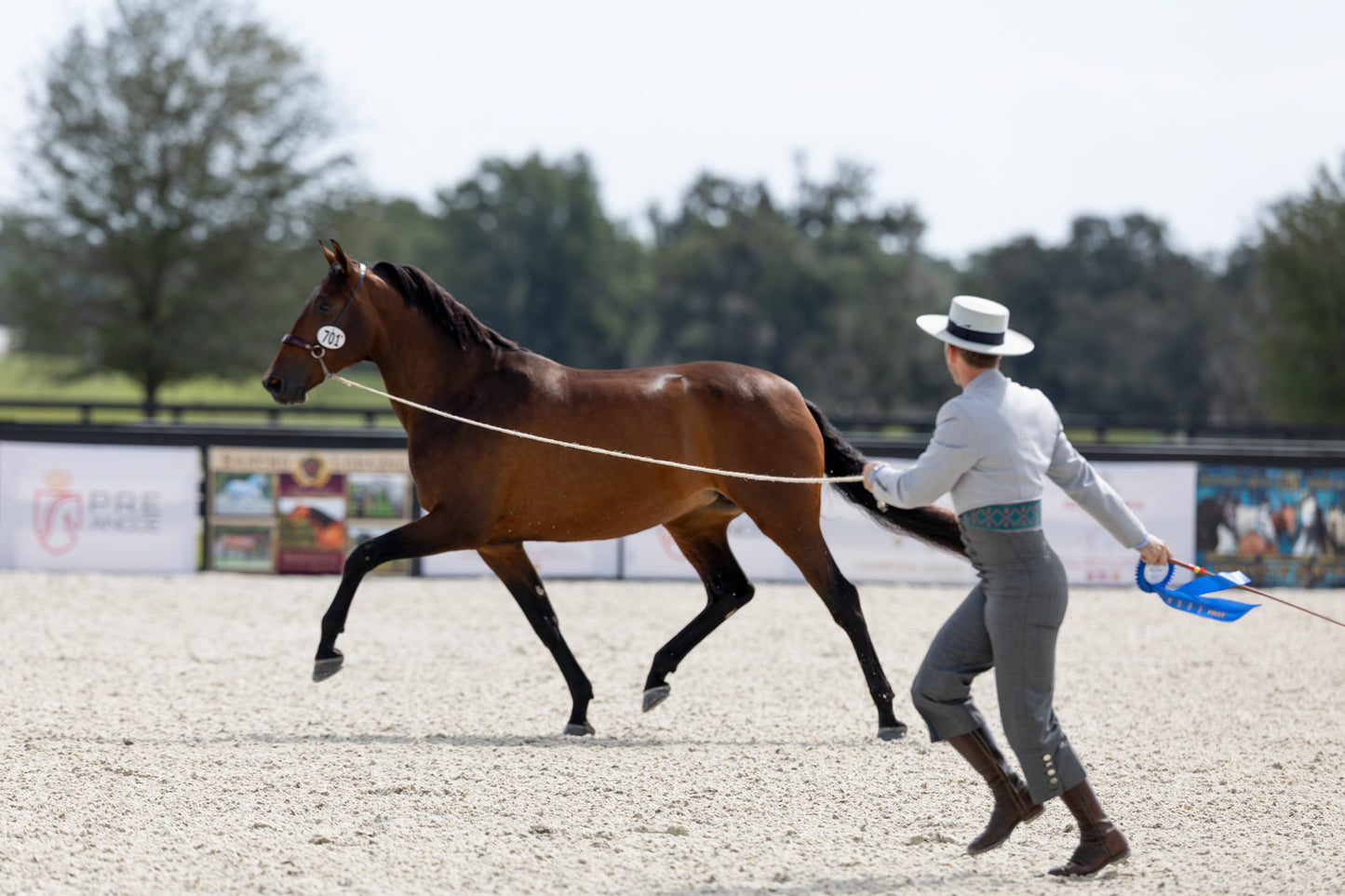 Fiesta Ocala - Bronze Sponsor