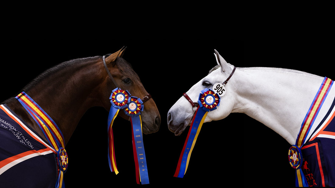 FIESTA OCALA 2025 WINNERS
