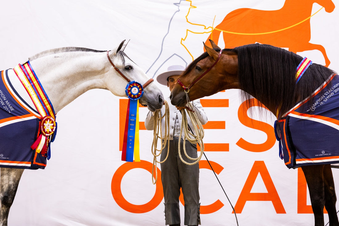 FIESTA OCALA 2024 Winners